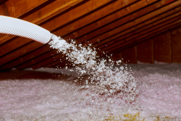 Best Eco-Friendly Insulation in Whitney, SC