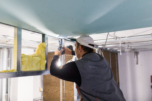 Types of Insulation We Offer in Whitney, SC