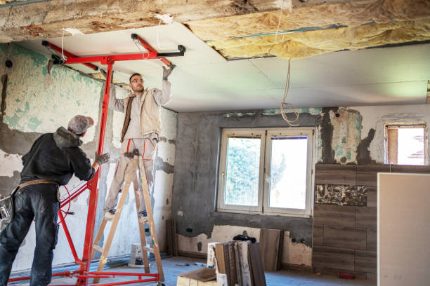 Best Residential Insulation in Whitney, SC